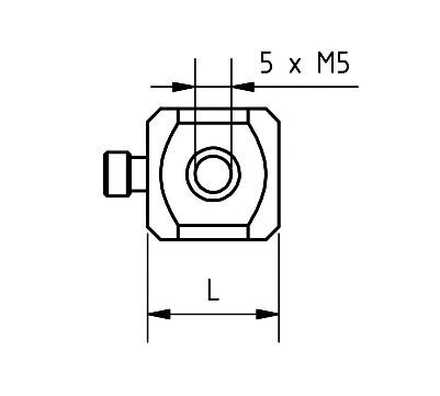 ZM5 T20 020 TTN - 5x M5 Thread, 20mm Length, Titanium